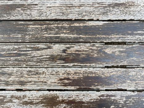 Wet rustic wooden texture, aged by time, close up