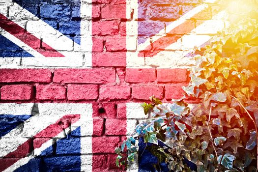 UK grunge flag on brick wall with ivy plant sun haze view