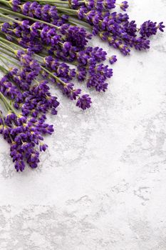 Lavender on grey stone background