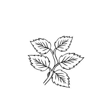 Geometric rose flower. Art deco style inspired. Vector logo design template, minimal petal beauty icon