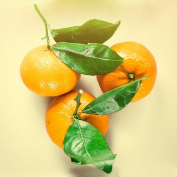 Tangerine delight