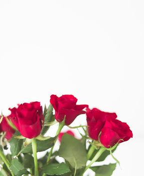 Tender bouquet of red roses, floral gift and beautiful flowers