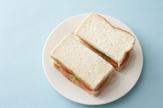 Plain White bread sandwich