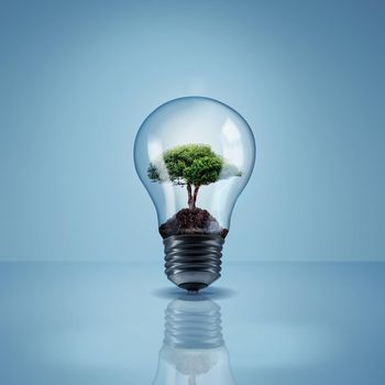 Help the environment by saving electricity. Studio shot of a tree growing inside of a lightbulb.