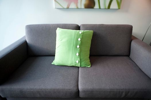 sofa and cushion