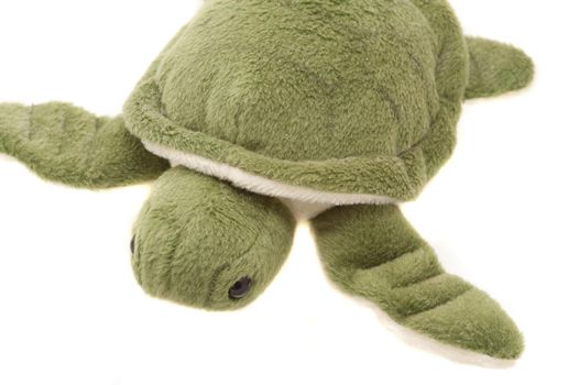 Close up view of plush turtle toy