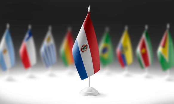 The national flag of the Paraguay on the background of flags of other countries