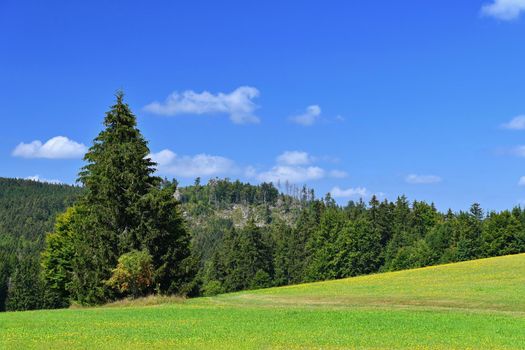 Beautiful summer landscape with nature. Meadow with forest and blue sky on a sunny day. Highlands - Czech Republic