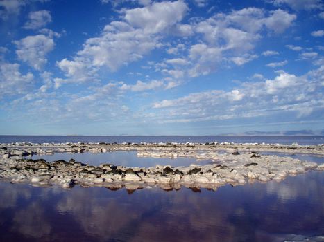 Center of the Spiral Jetty