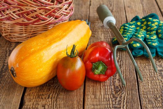 Vegetables with a wicker basket and a rake on wooden background.