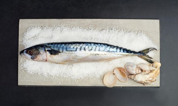 Now that looks delicious. High angle studio shot of salted fish on a table.