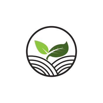 organic plant icon