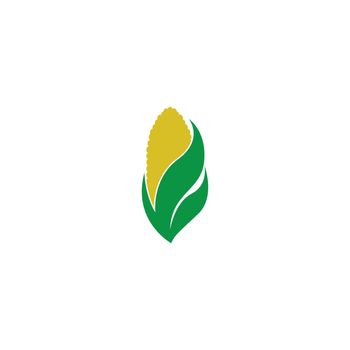 Sweet corn icon logo design