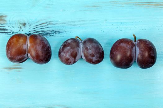Ugly organic blue plums on blue background. The ugly produce trend is the sale of imperfect looking produce.