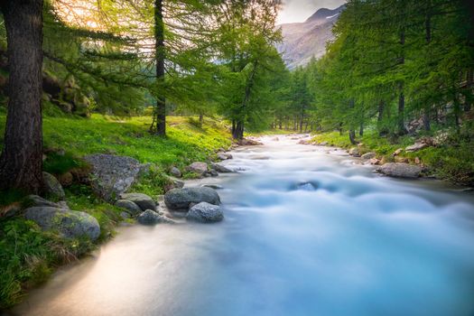 Ethereal river and alpine meadows at springtime, Gran Paradiso Alps, Italy
