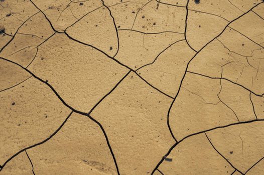 The ground with cracks