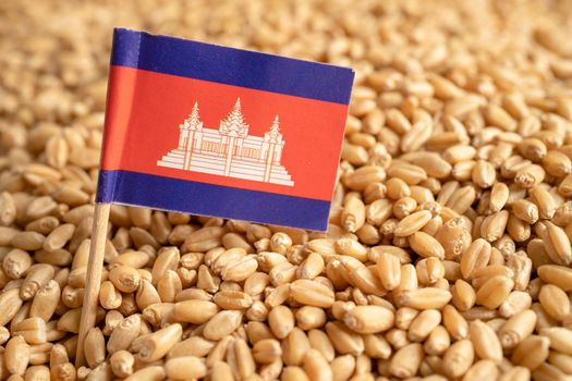 Grains wheat with Cambodia flag, trade export and economy concept.