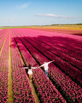 Men and women in flower field seen from above with drone in the Netherlands, Tulip fields