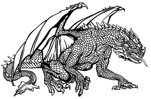 Western Dragon. Classic European mythological creature. Black and white