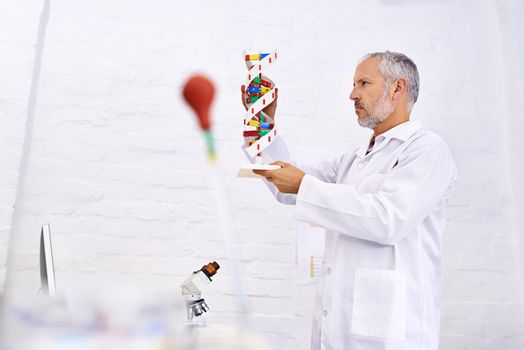 Lifes building blocks. a mature male scientist examining a model of a DNA molecule.