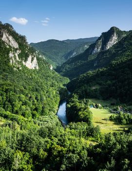 River in mountains of Montenegro