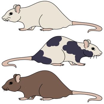 three decorative rats of various colors, pets and laboratory animals, spotted, gray and brown mouse, vector outline illustration