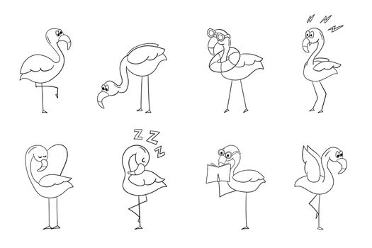 Set of flamingos, outline vector cartoon illustration on white. Coloring book