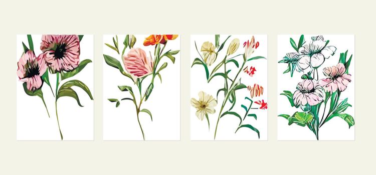 set vintage postcards postcard with colorful wildflowers on a white background. Vector illustration. Herbs and wildflowers. Set floral elements for your compositions