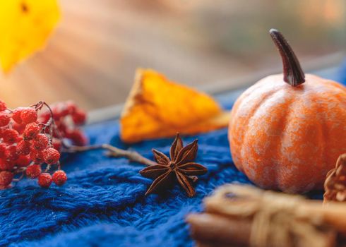autumn leaves with an blue scarf a candle a cone acornes cinnamon pumpkin autumn berry anoce on the windowsill in rainy weather