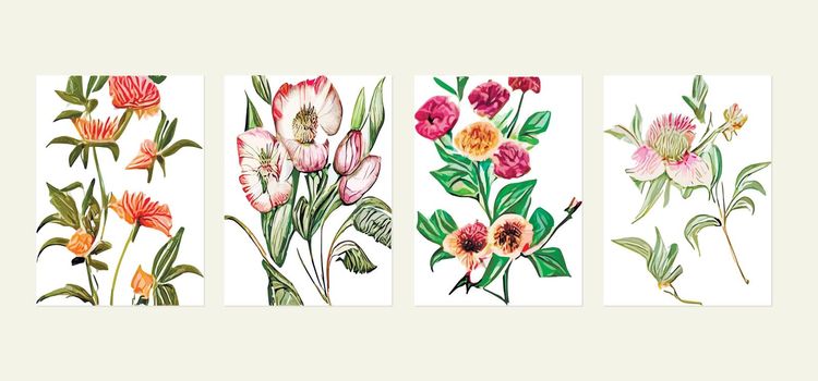 set vintage postcards postcard with colorful wildflowers on a white background. Vector illustration. Herbs and wildflowers. Set floral elements for your compositions