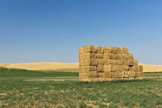 Large haystack in Washington state. 
