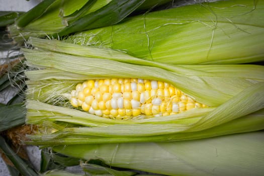 Opened carn cob on unshucked corn.