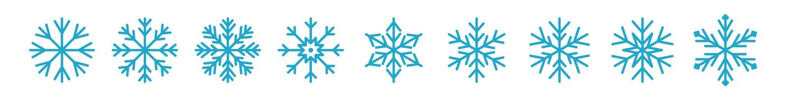 Set of icy snowflakes symbol vector illustration