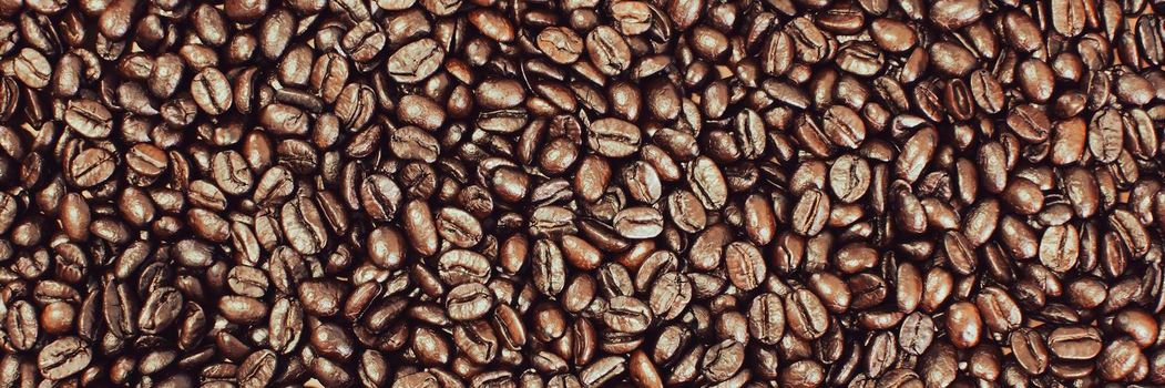 Arabica coffee beans with roasted,panoramic banner background