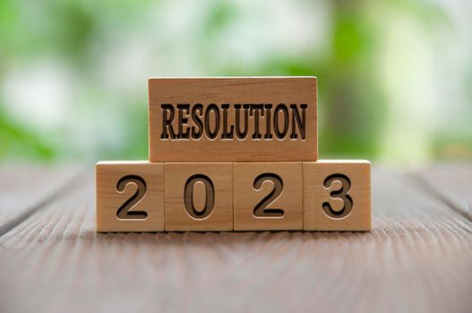 Resolution 2023 text engraved on wooden blocks with blurred park background. New year concept