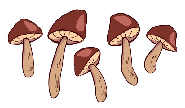 Cartoon hand drawn brown forest mushrooms