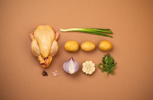 Ingredients for cooking chicken soup or stew
