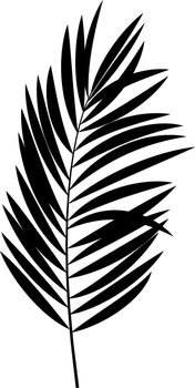 Palm leaf black silhouette Vector Illustration. EPS10