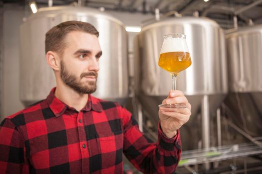 Handsome brewer examining freshly brewed beer at his beer factory