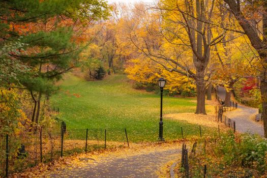Central Park in New York City at golden autumn, United States