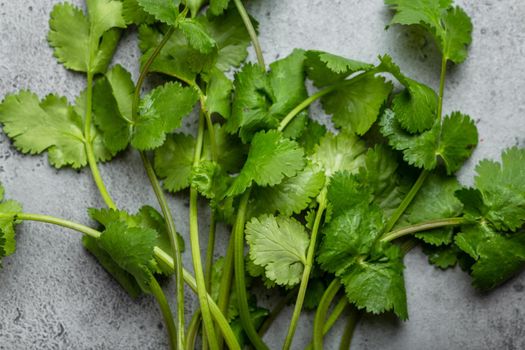 Fresh and green cilantro