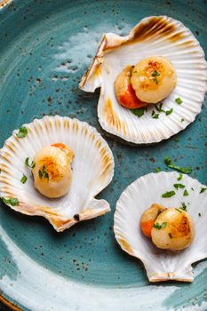 Tasty grilled scallops