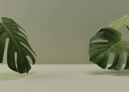 Empty scene with monstera leaves on green background. Template for product, cosmetic presentation. Natural mock up. Free, copy space. 3D rendering
