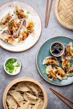 Two plates with asian dumplings