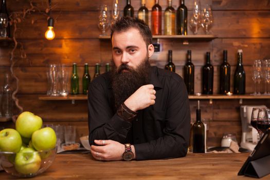 Stylish bearded bartender in a shirt at the bar counter background.
