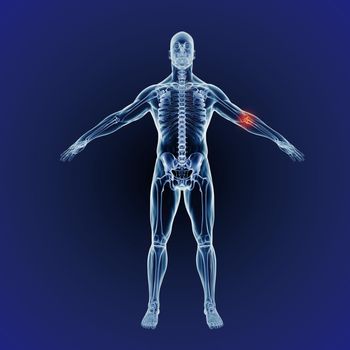When inflammation strikes. A full length cgi representation of the human body indicating the skeletal structure.