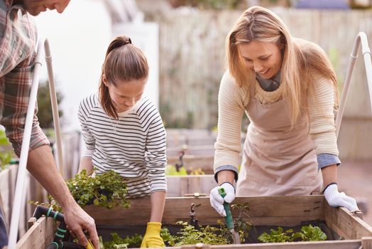 Teaching green living. a family gardening together in their backyard.