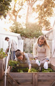 Learning the goodness of organics. a family gardening together in their backyard.
