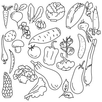 Set of contour doodle vegetable, a large number of useful products coloring page