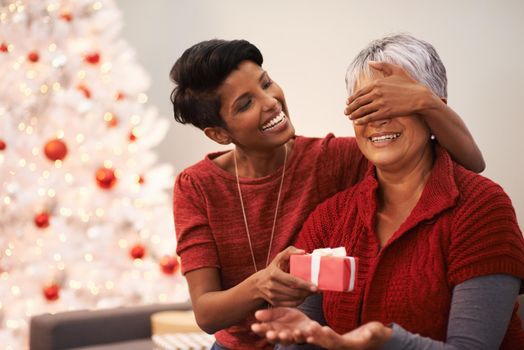 Shes going to love it. A senior woman receiving a hug from her daughter on Christmas.